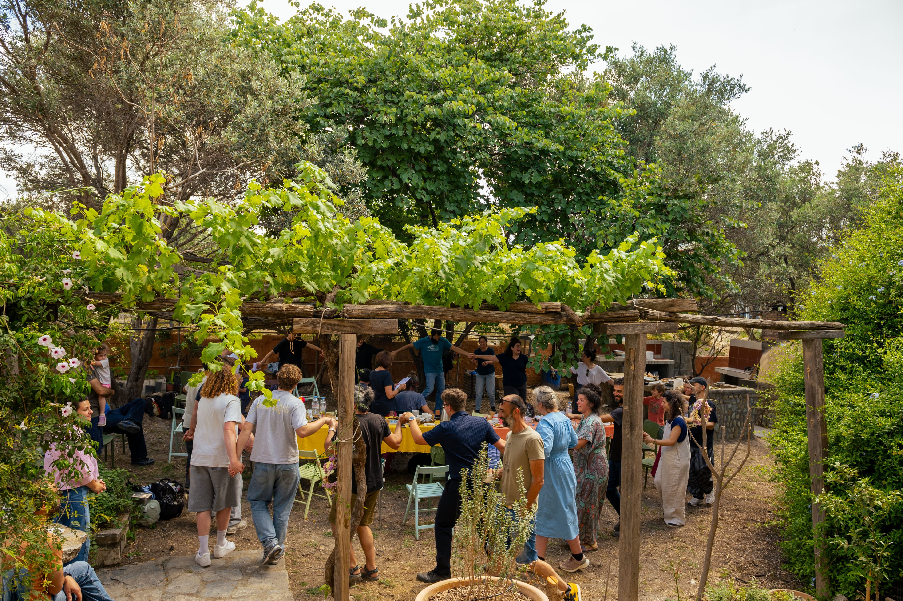 Boli Cooperative