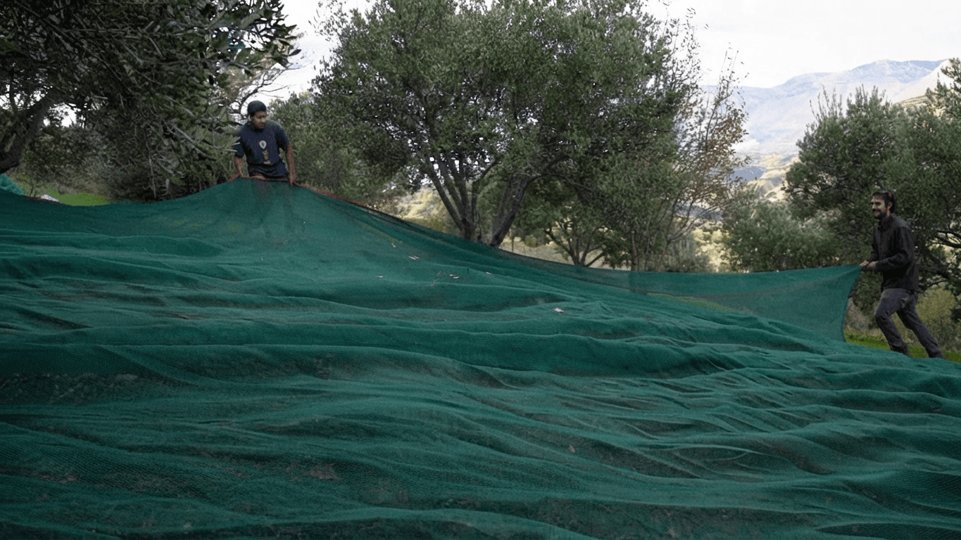 Preparing the nets