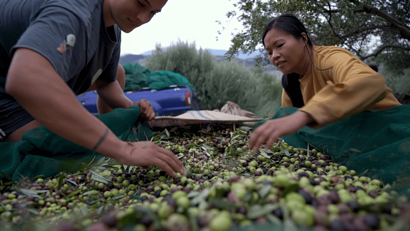 Bagging the harvest